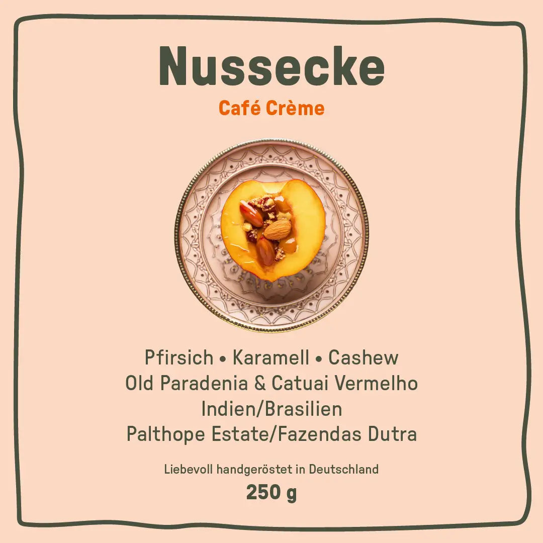 Nussecke | Old Paradenia + Catuai Vermelho Cuvée | Café Crème