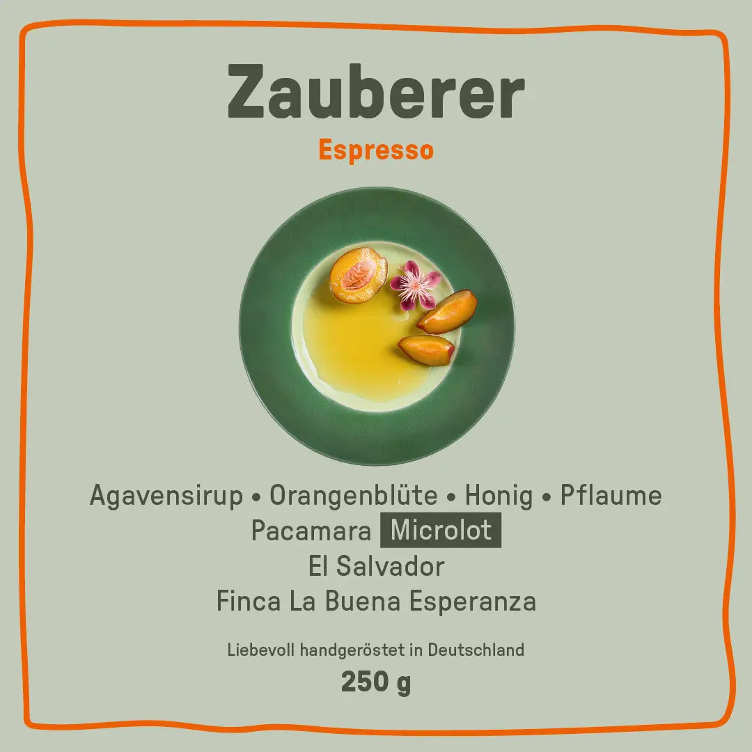 Zauberer | Pacamara Arabica | Espresso