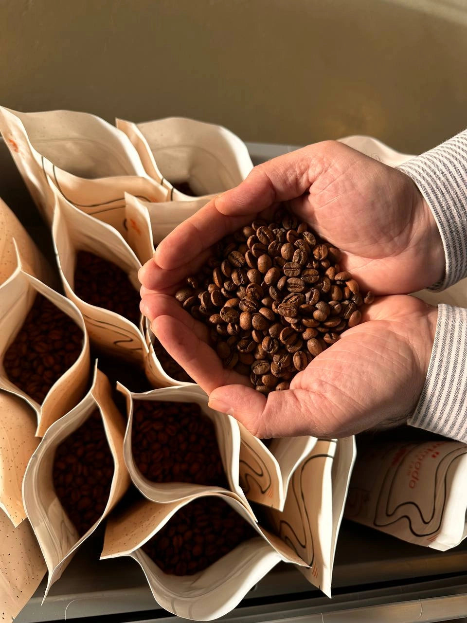 Nima | Jember Arabica | Kaffee